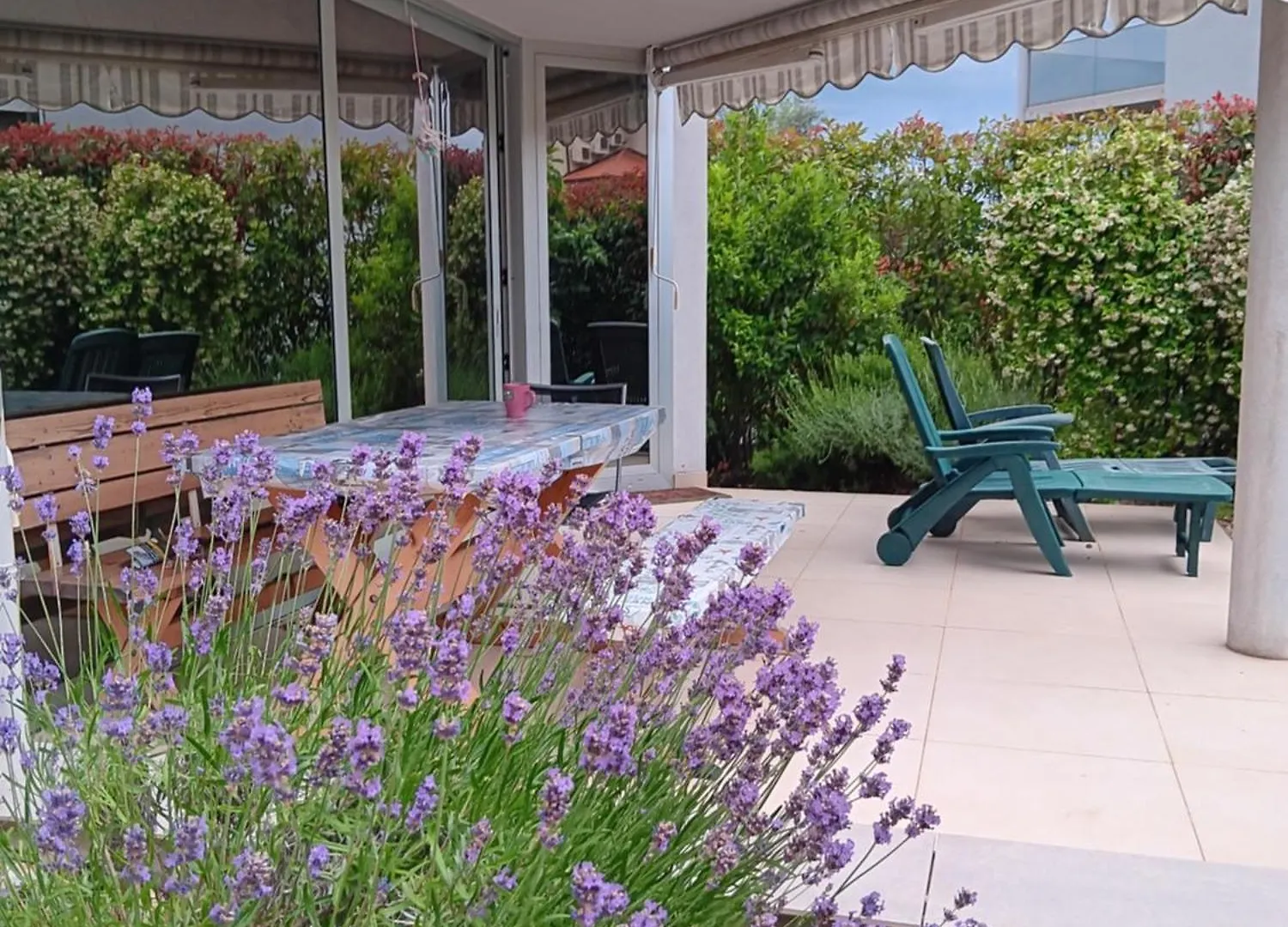Soncen Apartma Novigrad Novigrad  Apartament Novigrad (Istria)